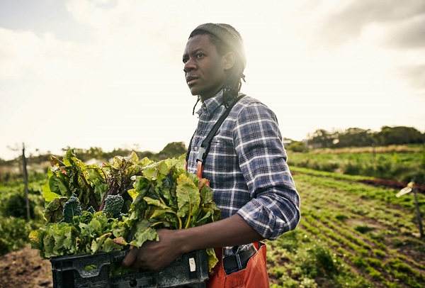 Agriculture Insurance